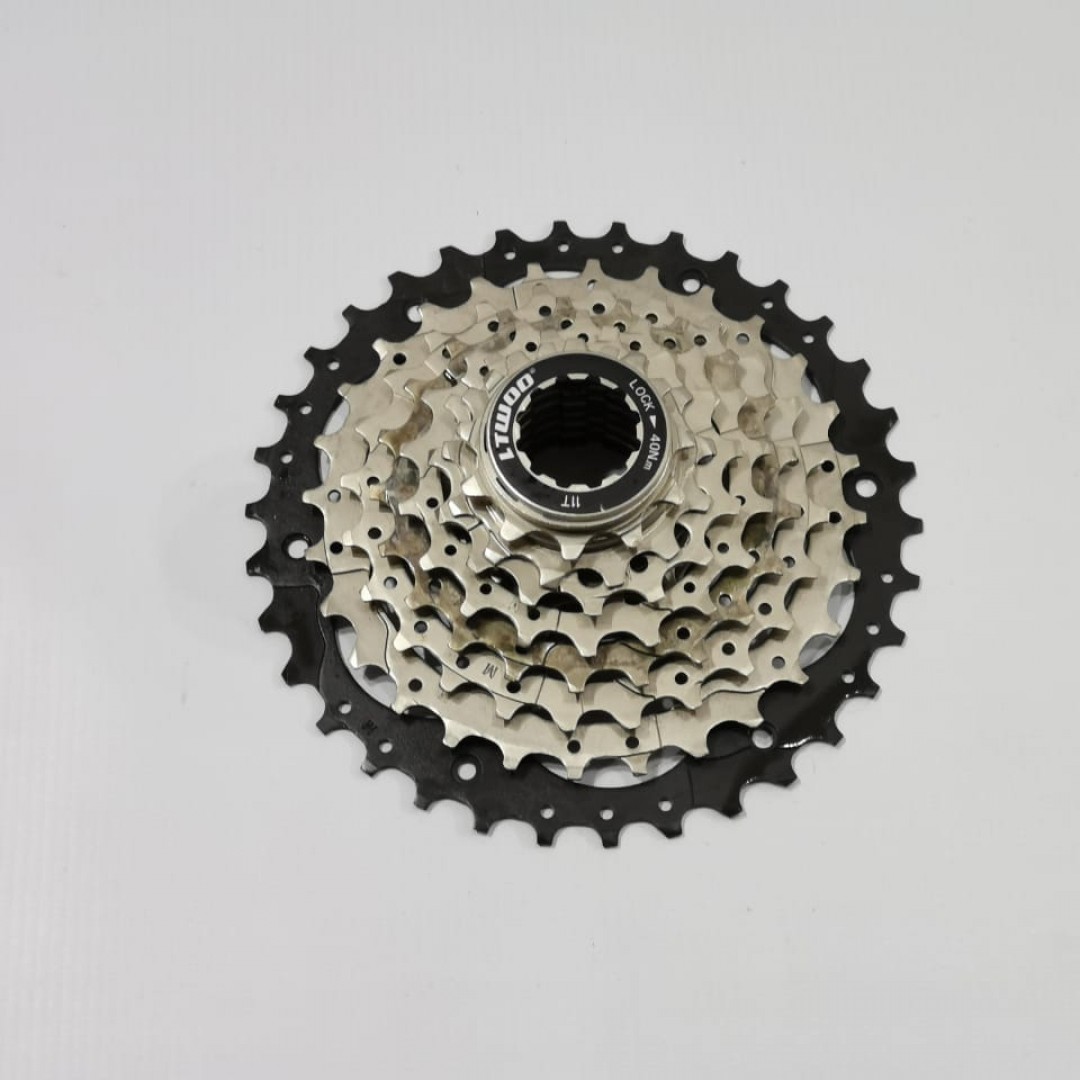 pion-ltwoo-cs-a3-1134-8v