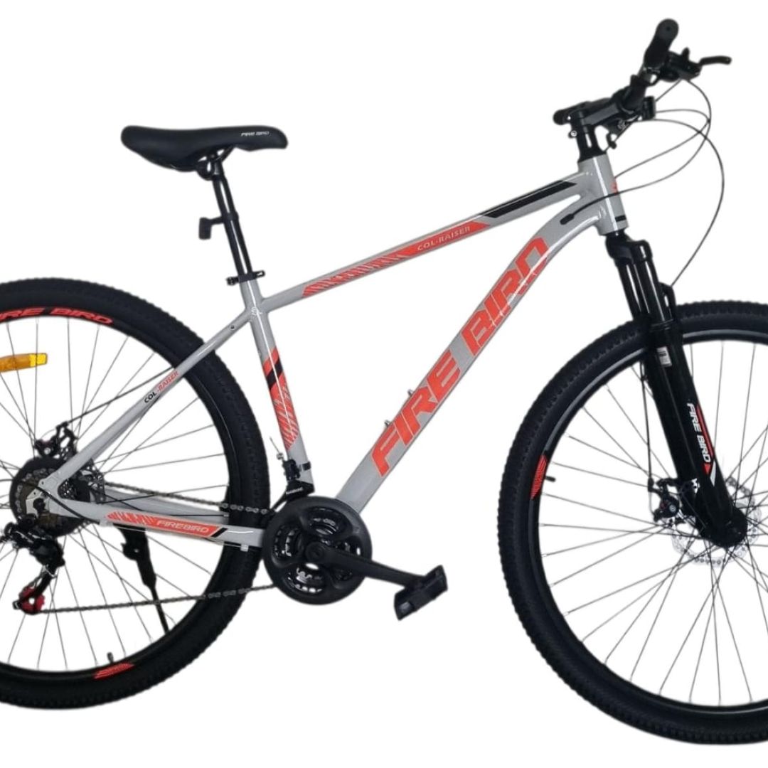 bicicleta-r29-mgpp-talle-18-21-v-gris-con-rojo