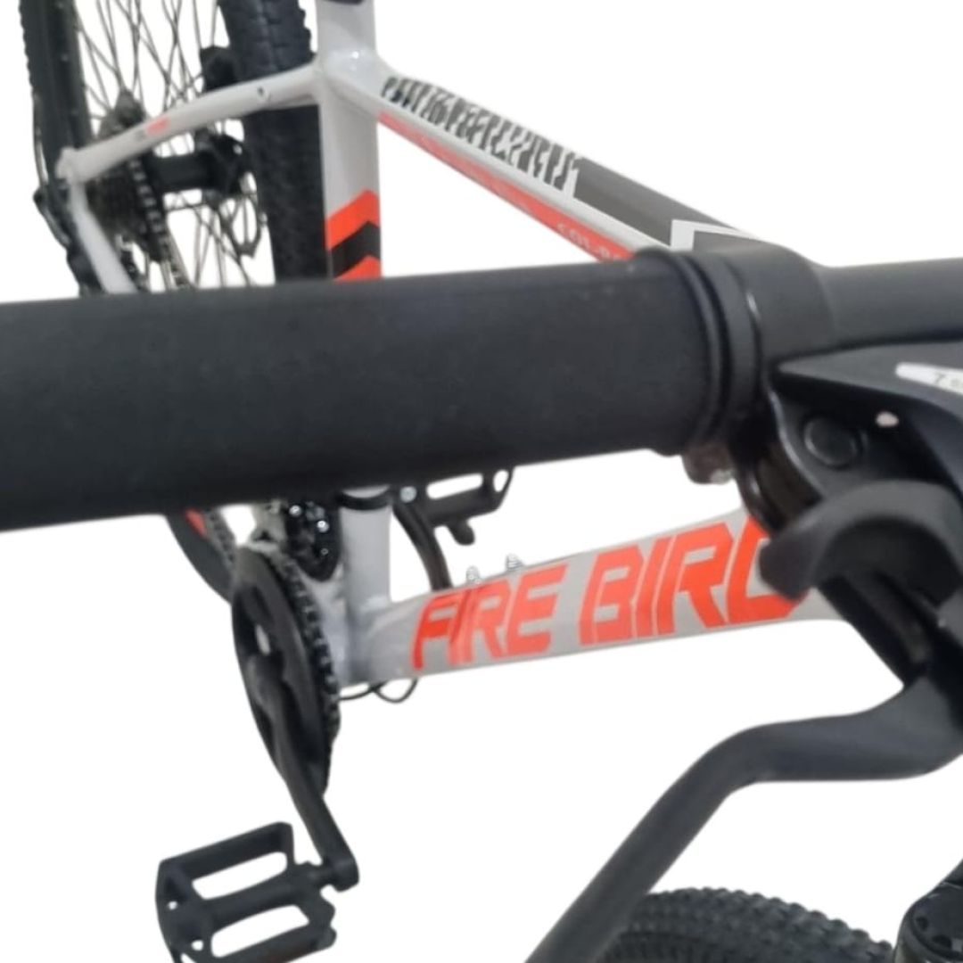 bicicleta-r29-mgpp-talle-20-21-v-negro-con-gris