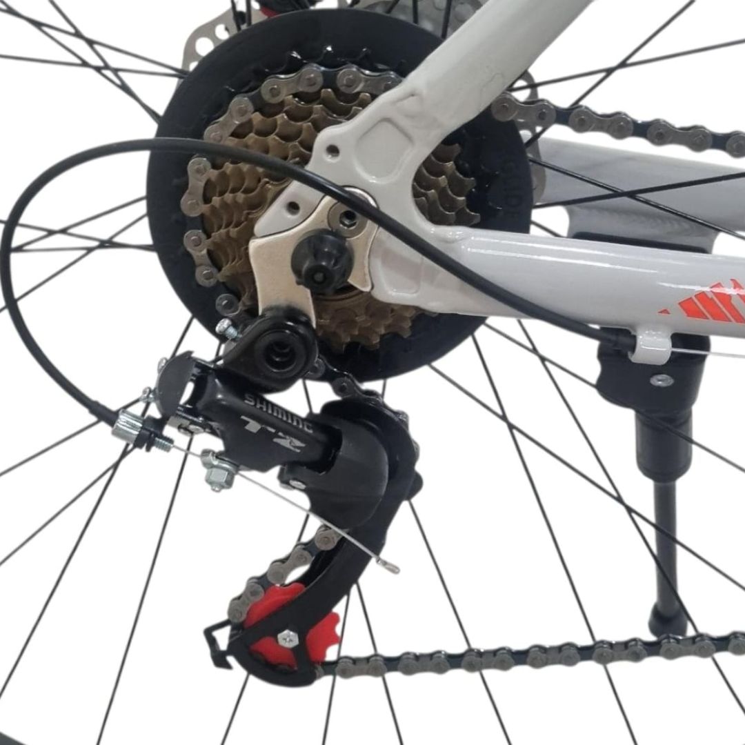 bicicleta-dama-r29-mgpp-talle-18-21-v-negro-con-rosa-claro