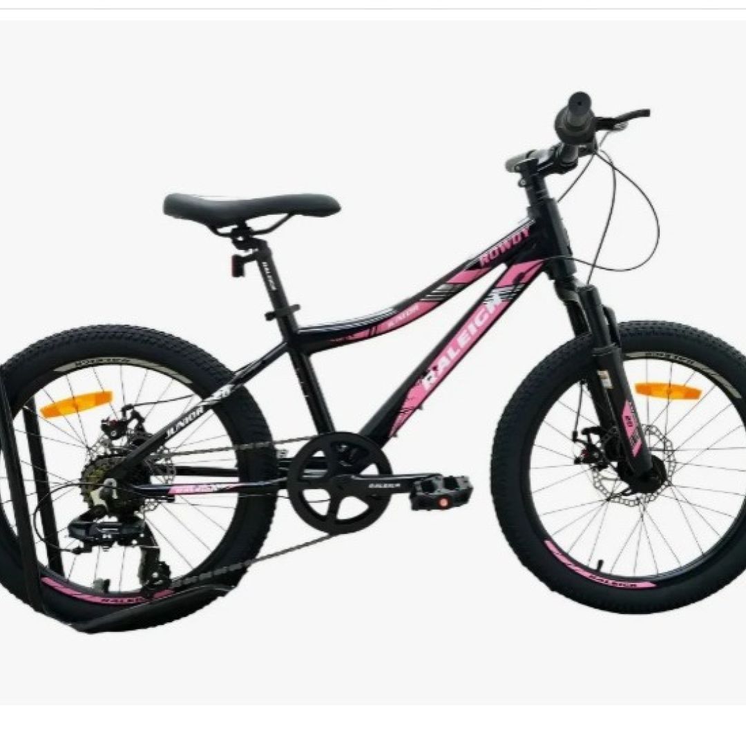 bicicleta-raleigh-rowdy-20-nena