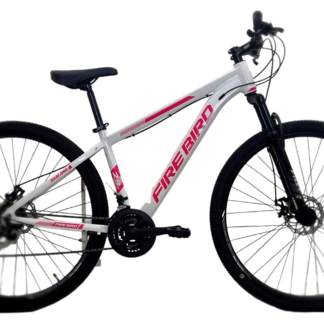 bicicleta-dama-r29-shie-talle-16-21-v-gris-con-turquesa