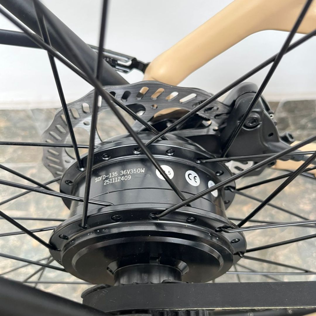 bicicleta-electrica-city-700-dama-fire-bird-esp-sin-cable