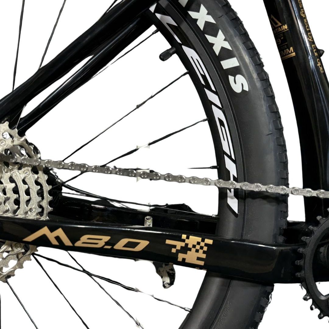 bicicleta-raleigh-80-r29-158-negro-con-dorado