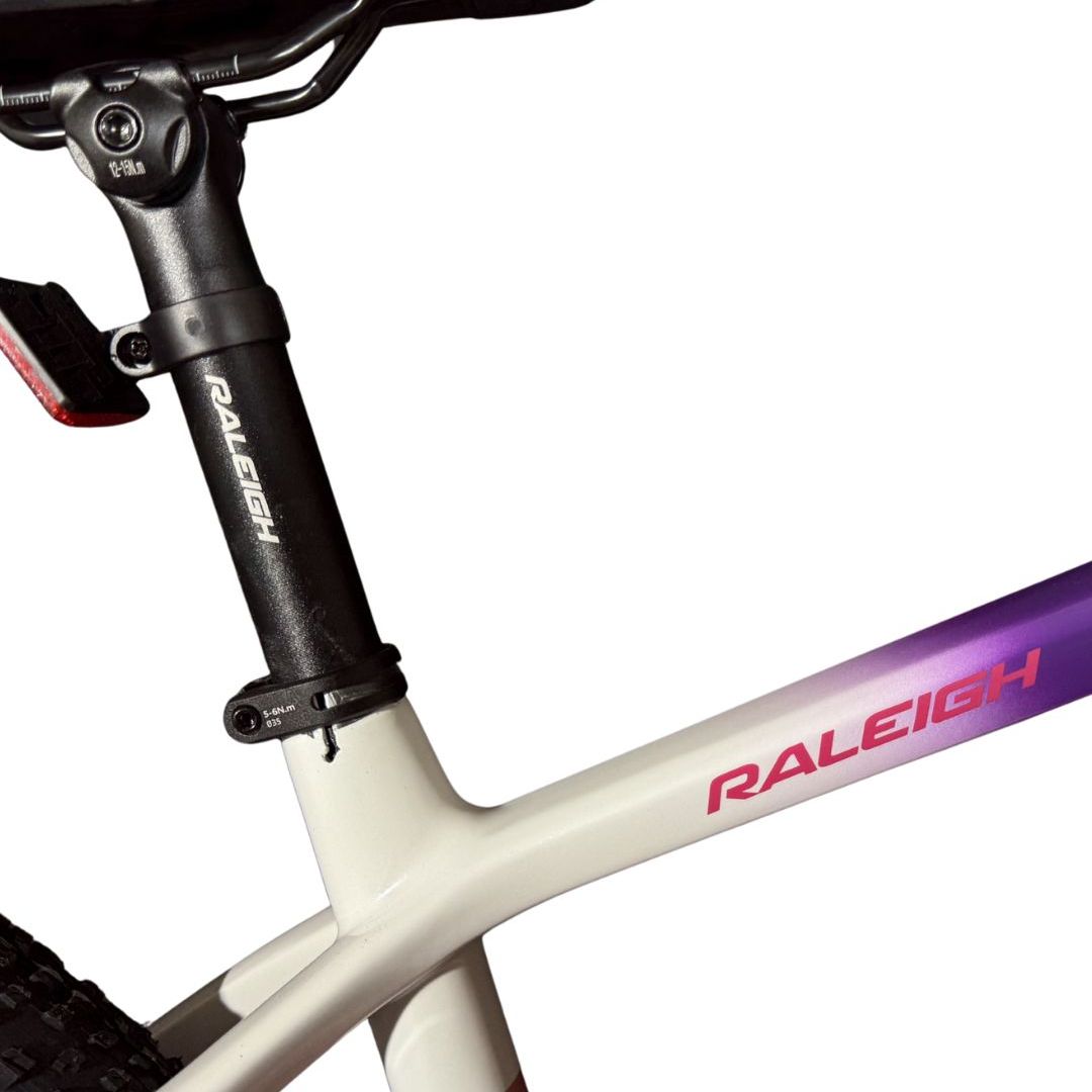 bicicleta-raleigh-dama-80-r29-158-rosa-con-blanco-y-purpura