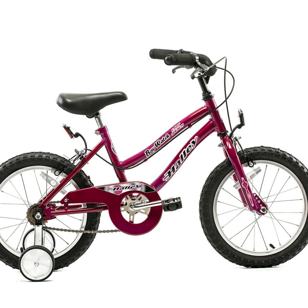 bicicleta-playera-r16-dama-cuadro-importado