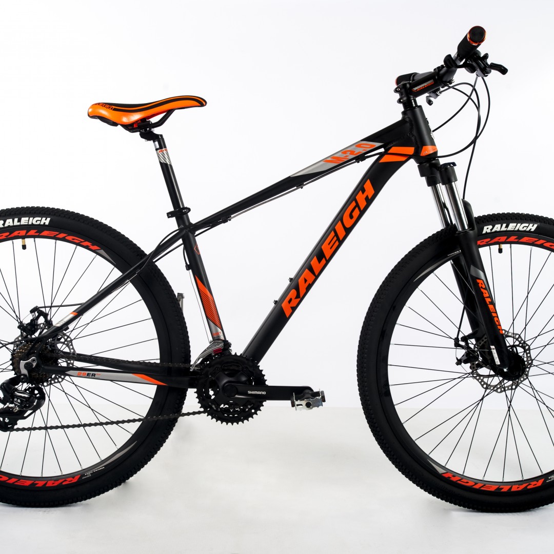 raleigh-20-r29-15-gris-con-negro-2026