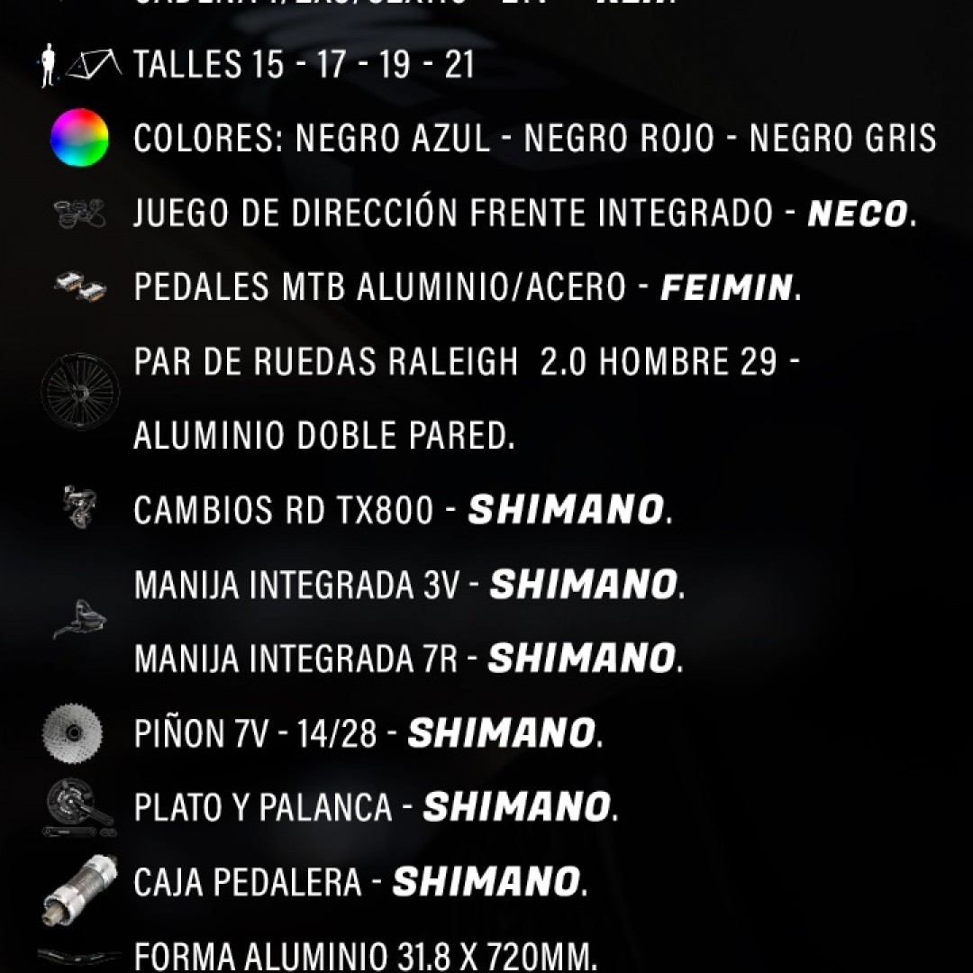 raleigh-20-r29-19-gris-con-negro-2026