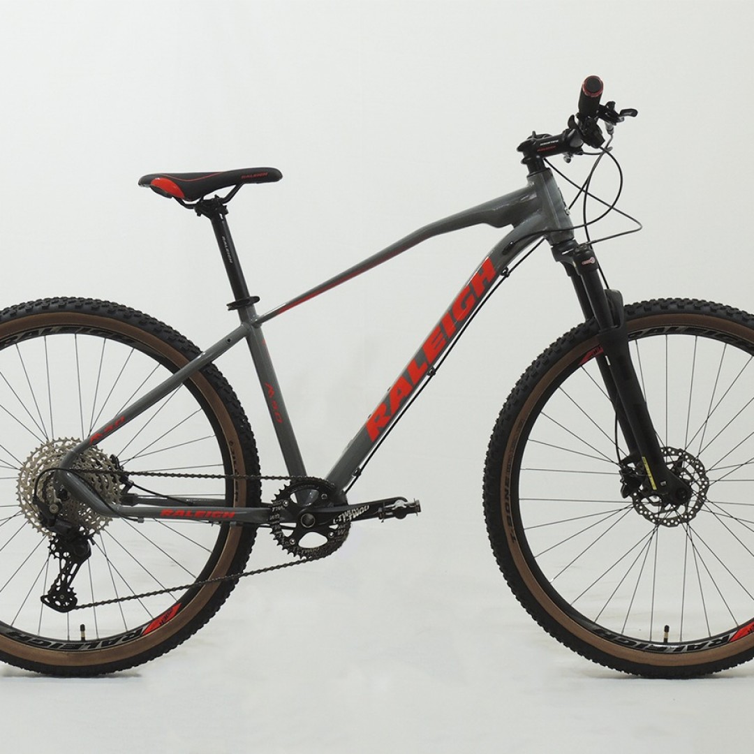 raleigh-50-r29-19-gris-con-azul-2026