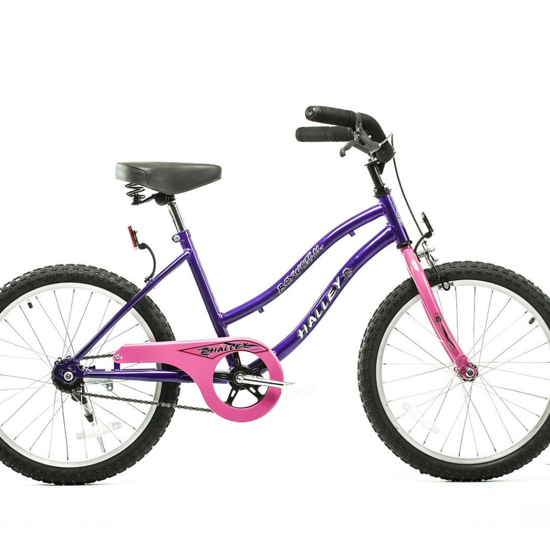 rtos-playera-r20-cuadro-importado-freno-contrapedal--v-brake-nena